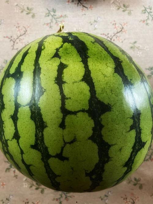 这大晚上的 吃瓜,揭秘娱乐圈最新热点