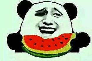 无脑吃瓜的举报理由,揭秘网络舆论的狂欢与争议