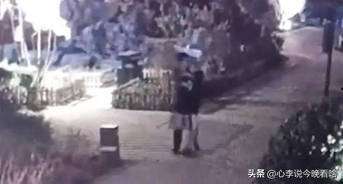 吃瓜兰州老街视频,一场视觉与味蕾的盛宴