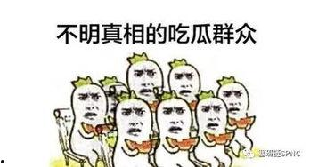 吃瓜群众看热门,热门事件背后的真相与观点