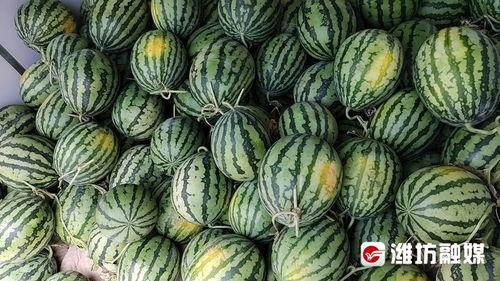 芳林街吃瓜,一场热闹非凡的吃瓜盛宴