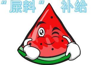 上班吃瓜现场,揭秘职场八卦背后的真相