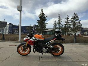 青海吃瓜本田,青海吃瓜见证本田传奇之旅