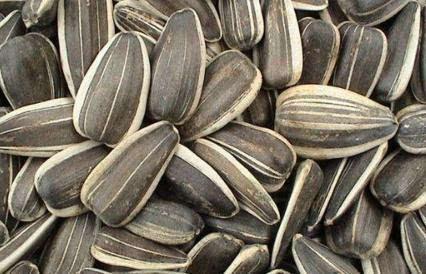 怀孕吃葵瓜好不,葵瓜——孕妇的天然营养佳品