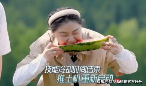 努力的吃瓜君,揭秘娱乐圈幕后真相