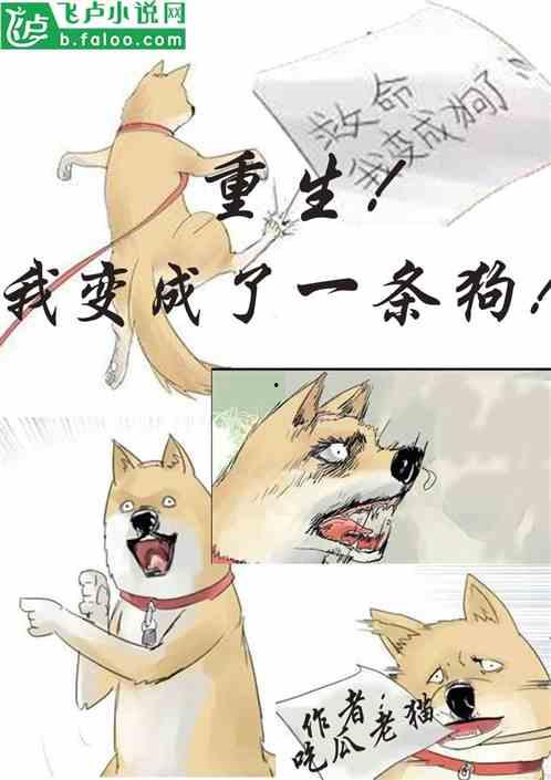 退休吃瓜的小说,我在小说世界吃瓜看天下