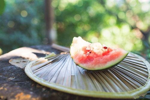 人的吃瓜精神有多强