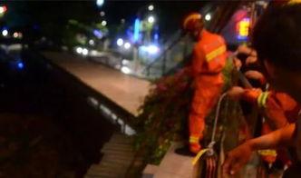 小寨天桥吃瓜,吃瓜群众的欢乐聚集地