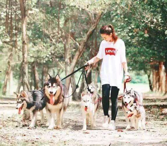 大半夜遛狗吃瓜,揭秘都市夜生活一幕