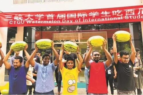 秭归县吃瓜,探寻当地特色美食之旅