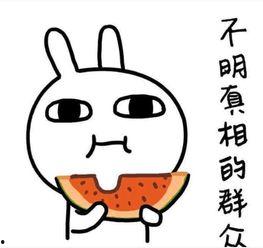 正在努力吃瓜的阿猹瓜