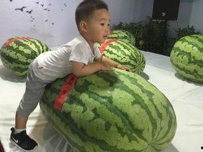 吃瓜群众试吃事件