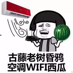 为什么吃瓜吃不胖,营养专家为你揭秘瓜果减肥之谜