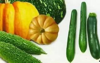 暖秋吃瓜,品味丰收，畅享清凉时光