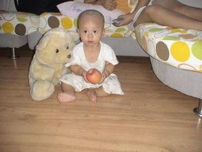 吃瓜小熊苹果,吃瓜小熊的苹果奇遇记