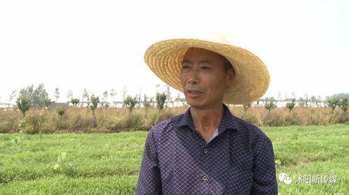 沭阳学校吃瓜,揭秘校园里的“瓜田”风云