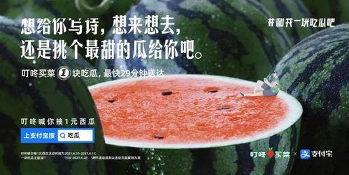 念吧吃瓜文案,揭秘娱乐圈那些不为人知的幕后故事